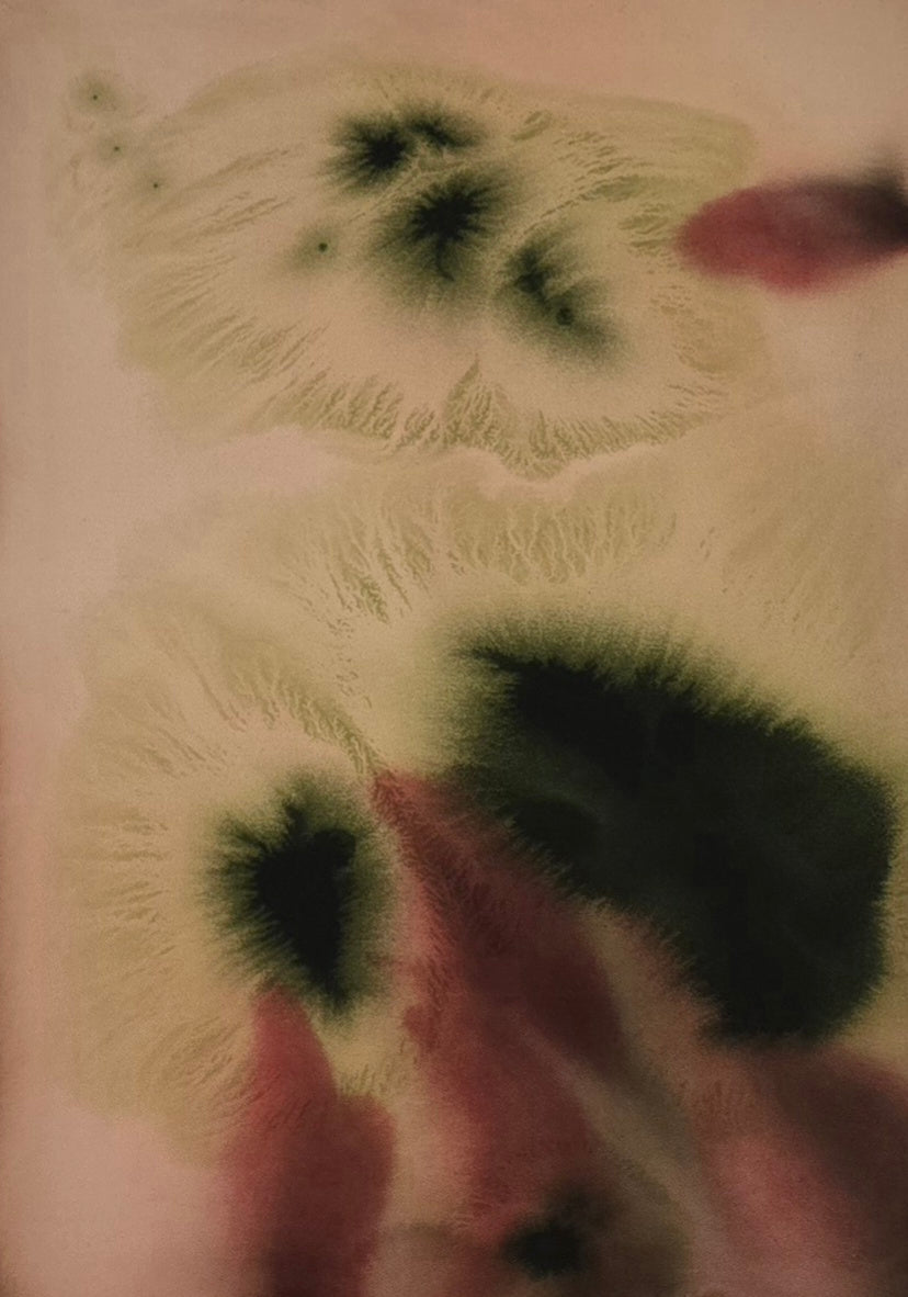 Tender Echo · 100 × 70 cm