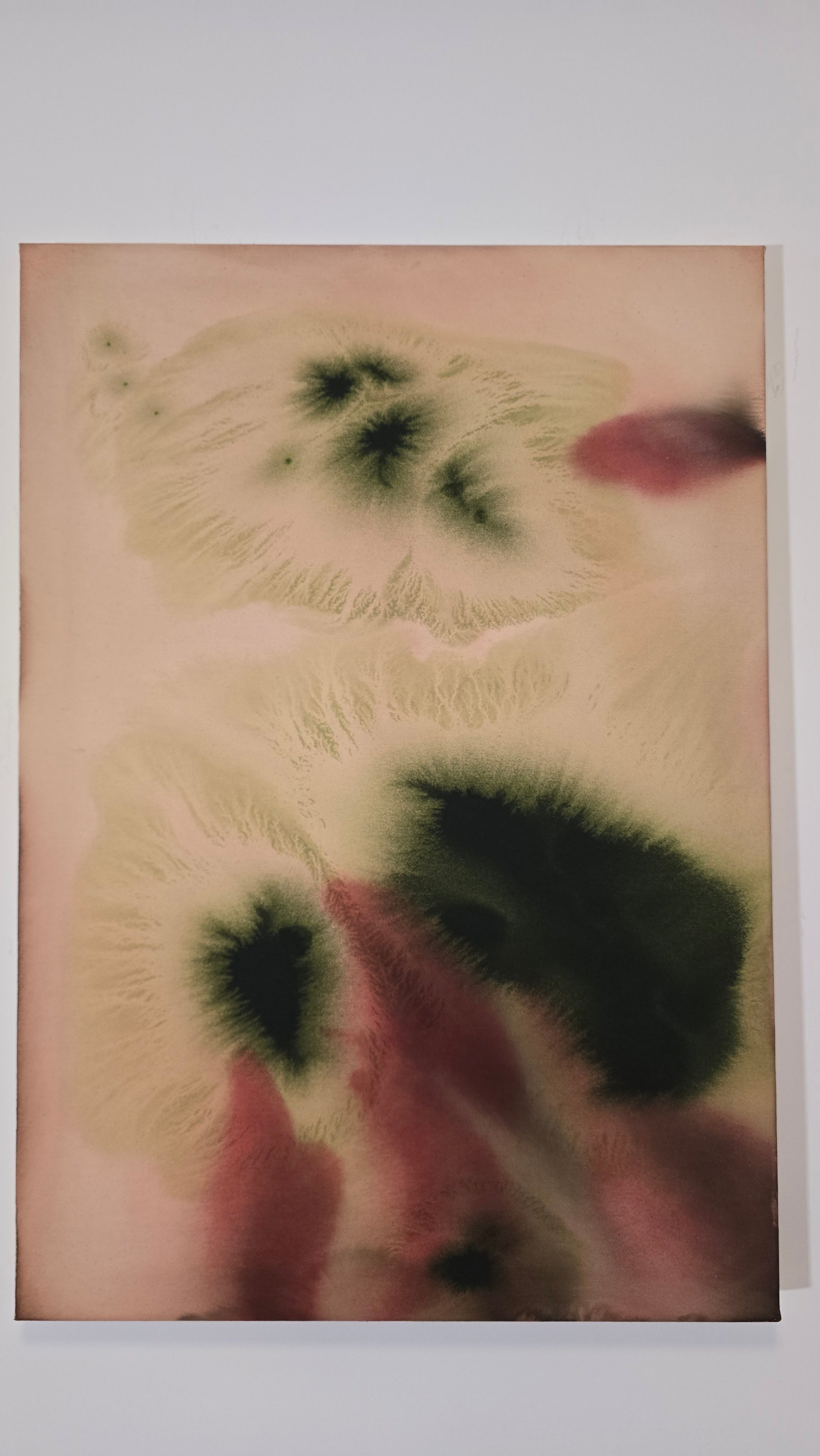 Tender Echo · 100 × 70 cm