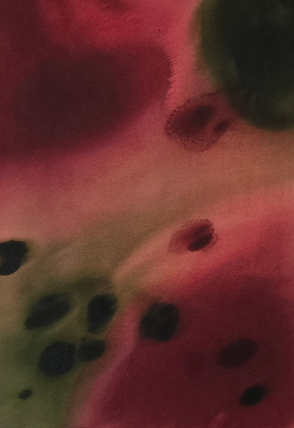 Crimson Murmur · 100 × 70 cm