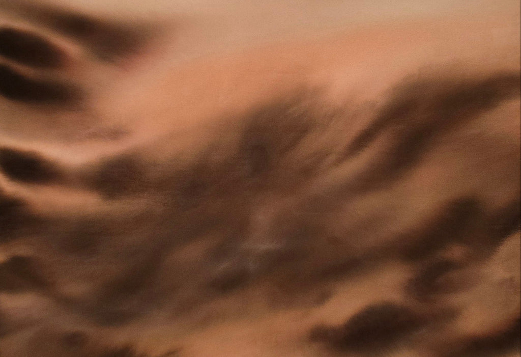 Sepia Veil · 100 × 120 cm
