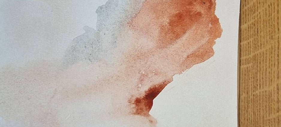 Untitled · 30 x 21 cm duo