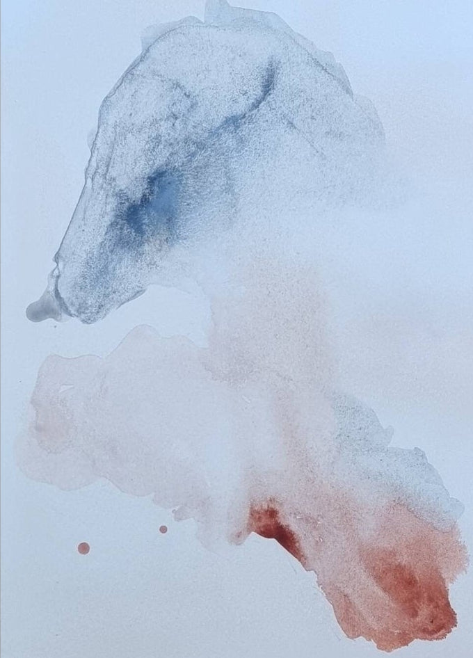 Untitled · 30 x 21 cm duo