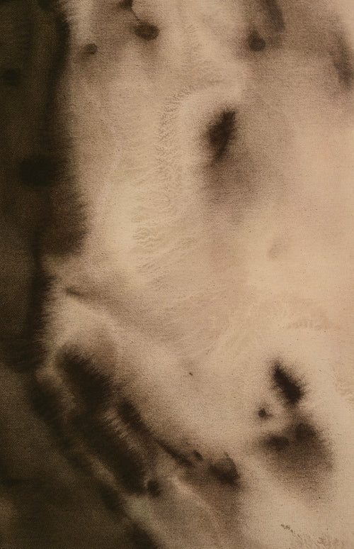 Earthen Veil · 50 × 70 cm (19.7 × 27.6 in)